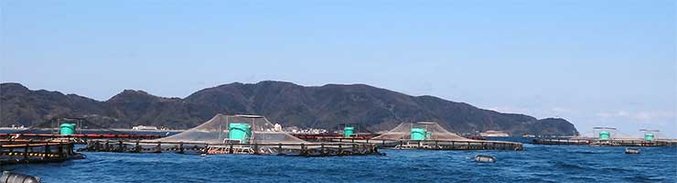 弓ヶ浜水産CSR活動