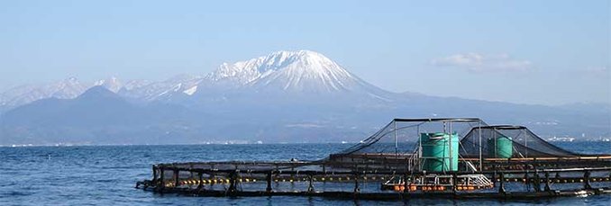 弓ヶ浜水産生簀