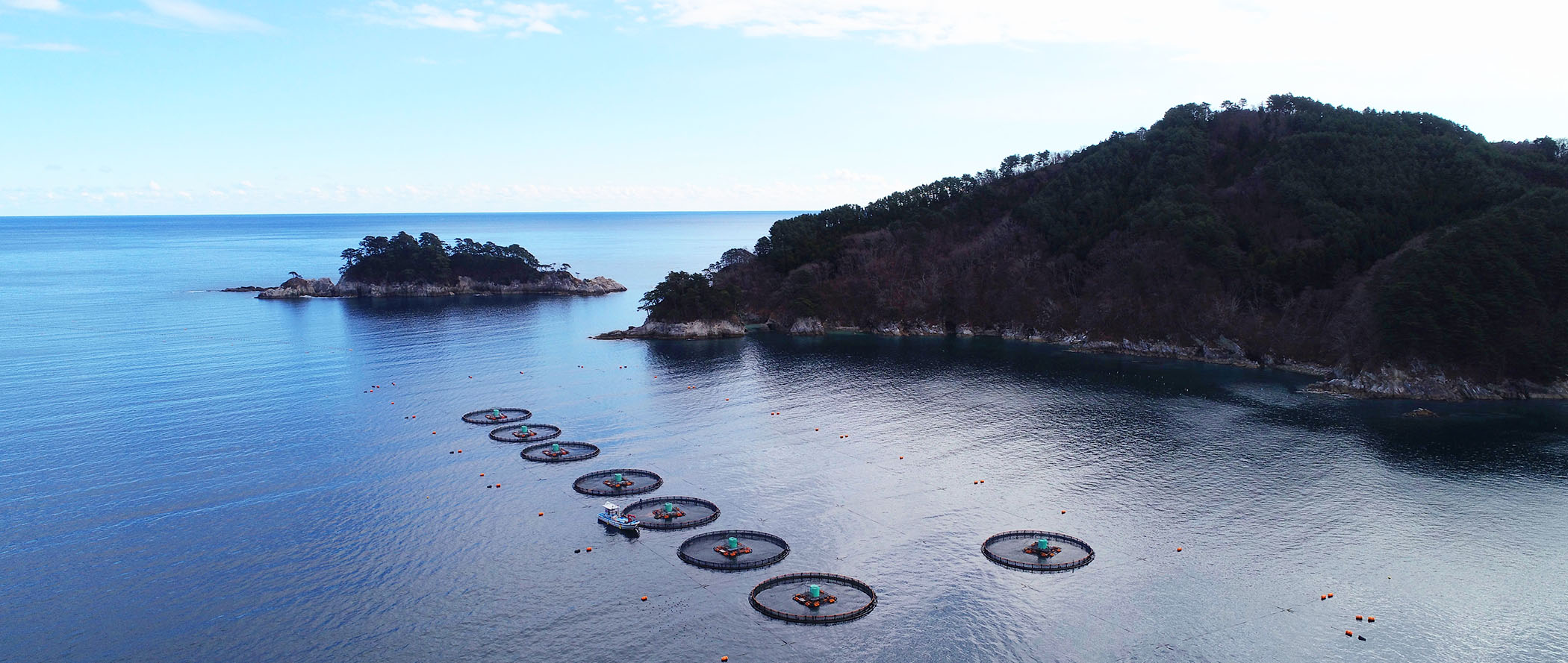 otsuchi_15：kuusatuBHs_02.jpg