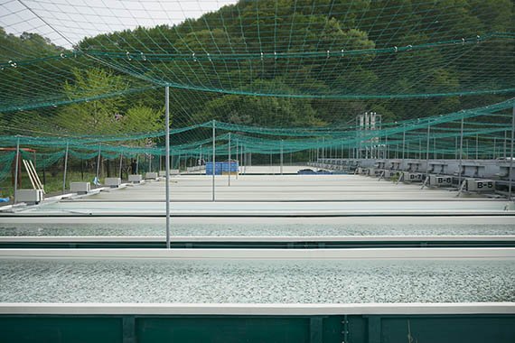otsuchi_6：tannsui.jpg