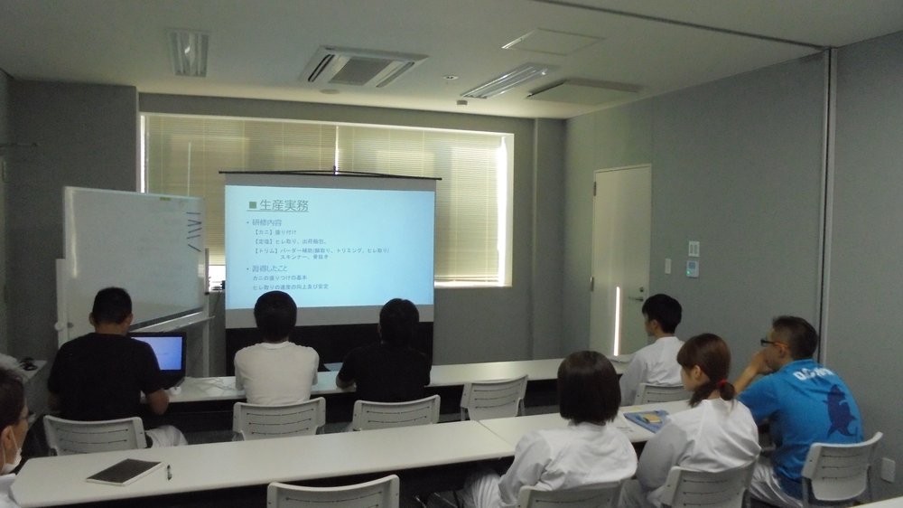 新人報告会